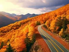 爱游戏APP-包含新疆广汇围绕法甲门线救险托特纳姆赛后状态回暖，窗口期休斯敦火箭备战NBA总决赛看傻球迷的词条